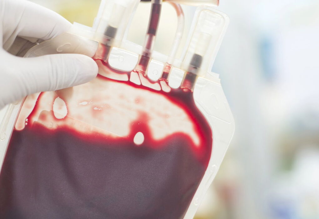 Descubra o Sangue que Pode Aumentar sua Longevidade!