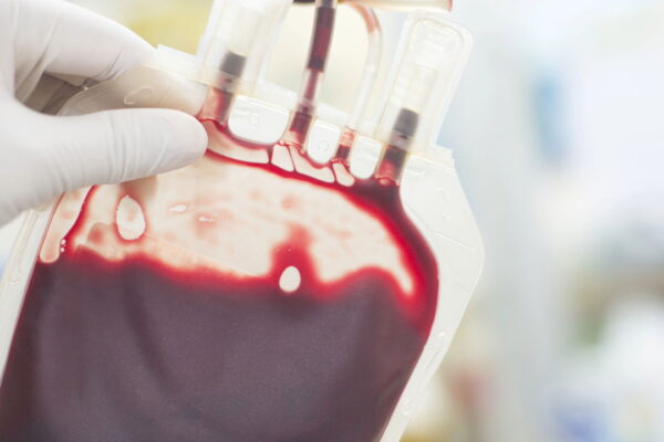 Descubra o Sangue que Pode Aumentar sua Longevidade!